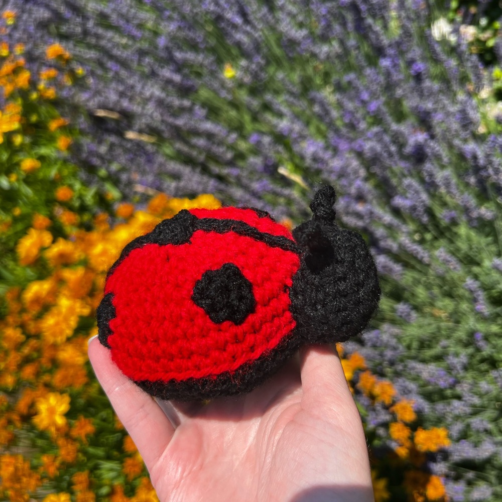 Hand Crocheted Little Ladybug Plushie Stuffed Animal! - Picture 12 of 12